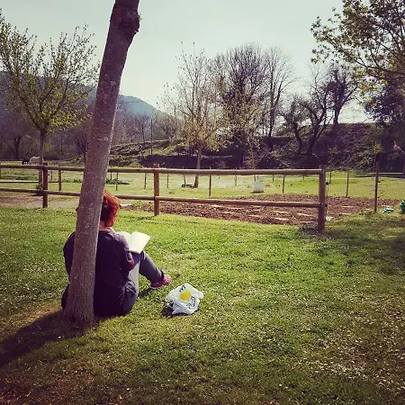 Holacamp Vall Natura Sant Miquel de Campmajor